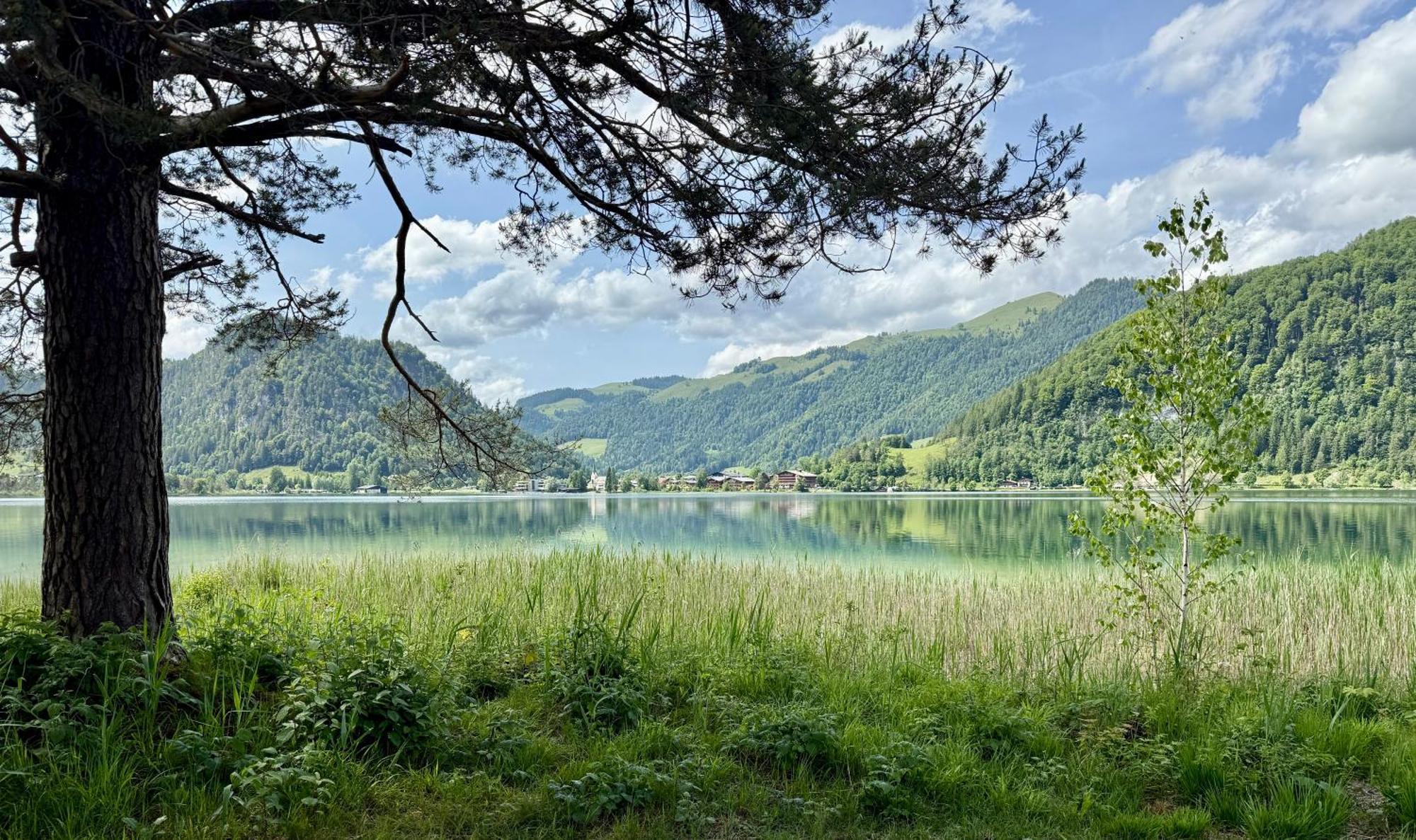 Apartment Liebelei Am See - Traumblick Aufs Kaisergebirge - Nur Ein Katzensprung Zum See Walchsee Buitenkant foto